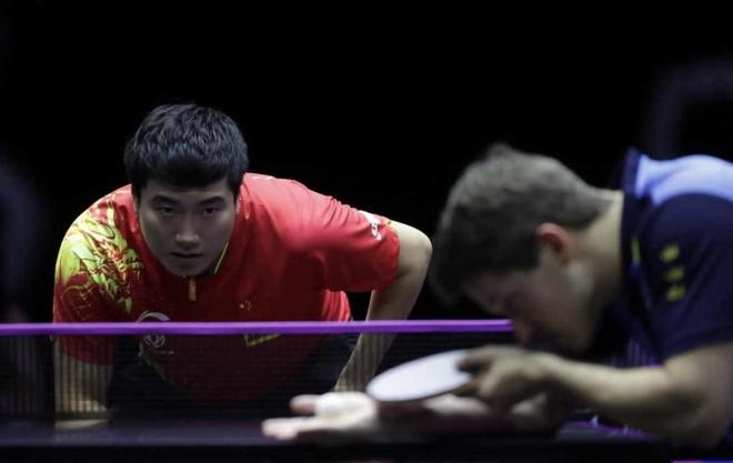 和顽强的斗 和顽强的斗